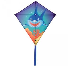 Fabien Schmitt - Vente cerfs volants Tarn et Garonne